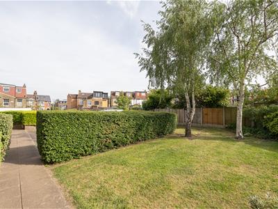 Picture 20